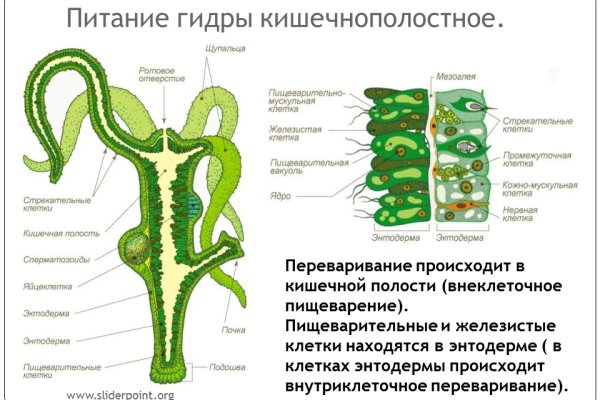 Впн для кракена