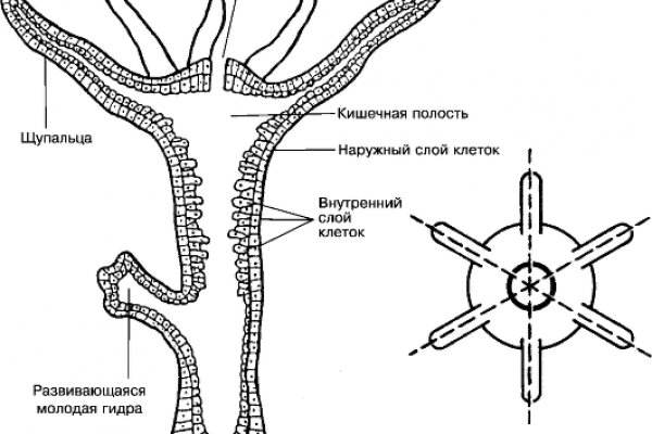 Кракен сайт официальный kraken014 com